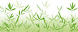 Bambus Hintergrund