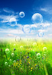 meadow bubbles