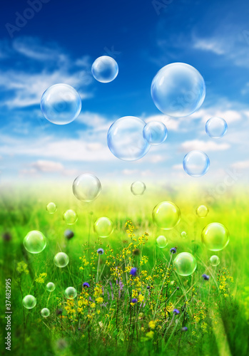 Foto : meadow bubbles meadow bubbles