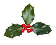 Holly with Berries