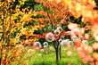 summery bubbles