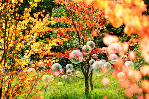 Photo: summery bubbles summery bubbles