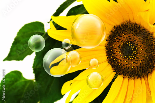 Photo: bubbles and sunflower bubbles and sunflower