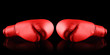 box sport 1
