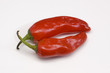 fresh red chili pepper , Rajasthan , India