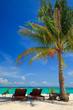 Beach chairs under a palm tree on Lipe island, Thailand