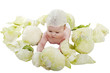 baby in the cabbage baby in the cabbage