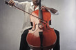Celloist
