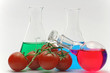 tomaten im labor
