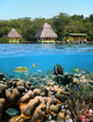 Cabins and corals