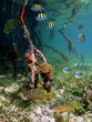 Underwater mangrove