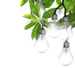 Lightbulb