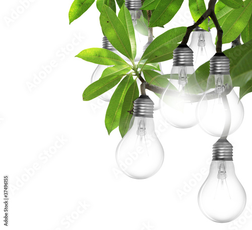 Photo: Lightbulb Lightbulb