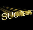 Success Text In Gold And 3d Success Text In Gold And 3d