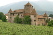 Bolzano, castel Mareccio e vigneti