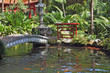 The wonderful bridge over a pond with goldfish