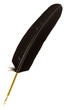 plume de calligraphie plume de calligraphie