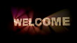 Video: Welcome Lights Welcome Lights