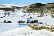 walls and barns snow scene