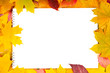 white sheet of paper and autumn leaves