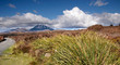 Mount Ngauruhoe im Tongariro Nationalpark