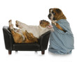 veterinary care
