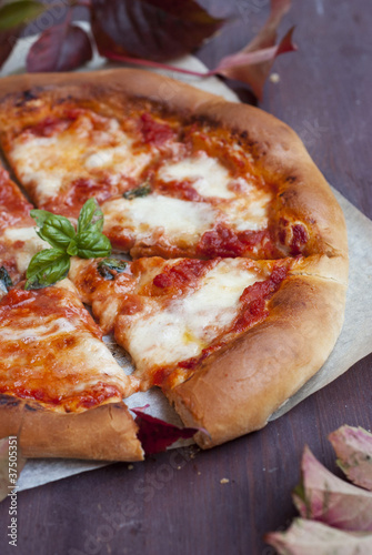 Photo: Pizza "Margherita" Pizza "Margherita"