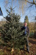 Bringing Home The Christmas Tree