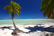 paradise