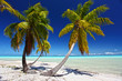 paradise