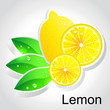 Vector lemon Vector lemon