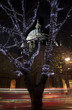 St. Paul's Cathedral at Christmas