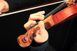 Violin is in the hands of professional violinist. Violin is in the hands of professional violinist.