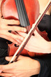 Close up of a couple holding a violin Close up of a couple holding a violin