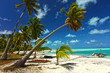paradise