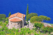 Weinanbau auf der Insel Elba an der Südküste