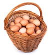 Chicken eggs Chicken eggs