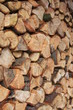 Photo: frischer Brennholzstapel frischer Brennholzstapel