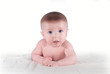 bébé