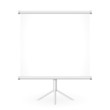 leinwand leer II