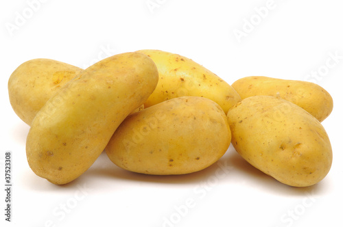 Photo: pomme de terre pomme de terre