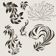 Vector: Set abstract floral with leaf Set abstract floral with leaf