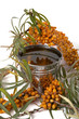 Oil of sea-buckthorn berries.