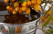 Foto: Oil of sea-buckthorn berries. Oil of sea-buckthorn berries.
