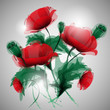 Vector: poppies vector illustration poppies vector illustration