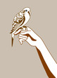 parrot silhouette on brown background parrot silhouette on brown background