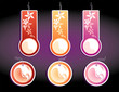 Vector: Set of color labels, on a dark background. Vector Set of color labels, on a dark background. Vector