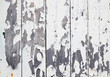 White flaky paint on a old weathered wooden fence.