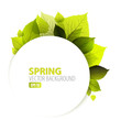 Spring abstract floral background