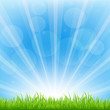 Green Background With Sunburst Green Background With Sunburst